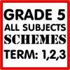GRADE 5 ALL TERM 1,2,3 SCHEMES OF WORK ALL SUBJECTS BANDLE