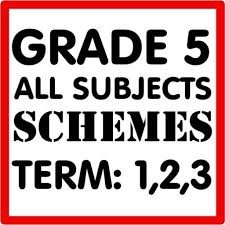 GRADE 5 ALL TERM 1,2,3 SCHEMES OF WORK ALL SUBJECTS BANDLE